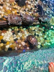 -酷嗒动物文化乐园(cutezoo西溪乐天城店)