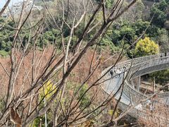 -福道
