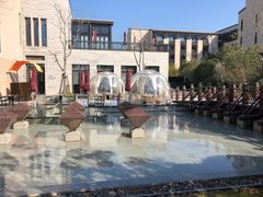 -上海崇明金茂凯悦酒店