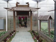 -上海都市菜园