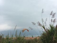-小桂湾