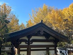 -西湖风景区十里琅珰-五云山