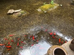 -几荷·恰似故人来(秀水广场店)