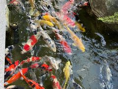 -贵阳高新惠诚食品有限公司