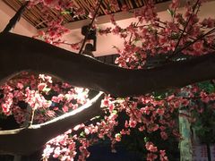-香坝坝鲜鱼火锅(春熙路店)