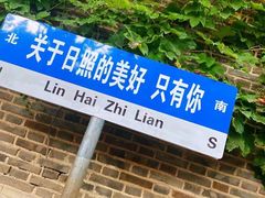 -日照海滨国家森林公园