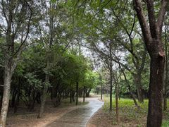 -森林公园(尖草坪区)