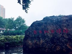 -洛阳市牡丹公园