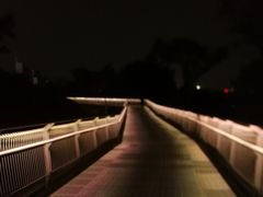 -广州雕塑公园