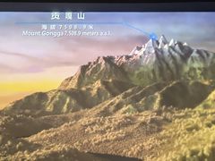 -四川大学博物馆