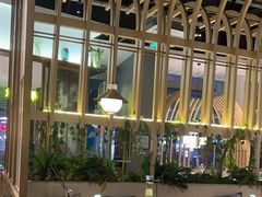 -原味四季椰子鸡(平湖天虹店)