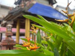 -曼丢傣家古寨