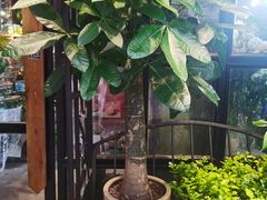 -喜鹊烤肉酒场(美乐城店)