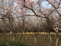 -长春世界雕塑园冰雪艺术天地