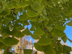 -北京石刻艺术博物馆(五塔寺)