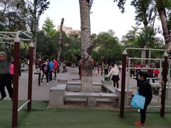 -莲湖公园