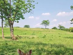 -良渚古城遗址公园