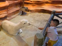 -酷嗒动物文化乐园(cutezoo西溪乐天城店)