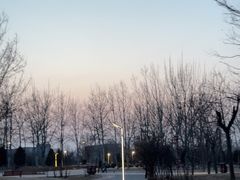-坝河休闲公园