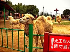 iphone_upload_pic-苏州太湖牛仔风情度假村