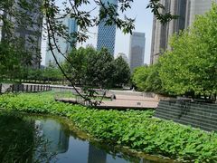 -大望京公园