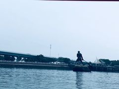 -海豚湾扬帆出海帆船游艇