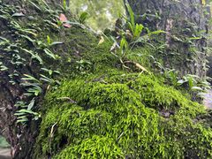 -宁波市保国寺古建筑博物馆