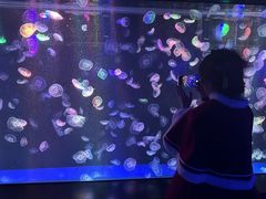 -海合安成都极地海洋公园