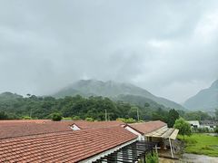 -遇见小院—虹鳟鱼•农家菜(怀柔店)