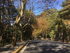 -庐山风景区花径公园