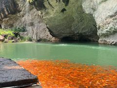 -楠溪江风景名胜区