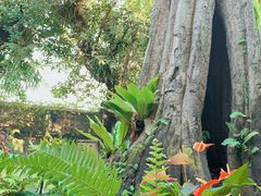 -Chom Cafe and Restaurant