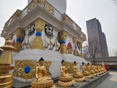-护国法轮寺