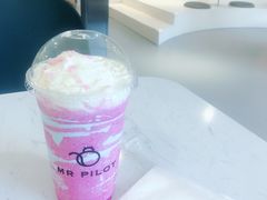 -飞行喵MR PILOT|猫舍·猫咖(静安大融城店)