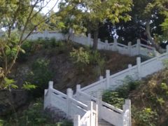 -上海市保健医疗中心