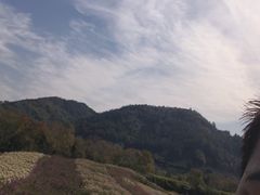 -径山花海