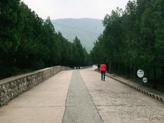 -北京十三陵国家森林公园蟒山景区