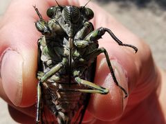 -云峰山自然风景区