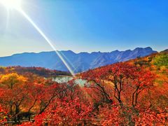 -周口店坡峰岭风景区