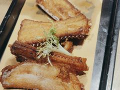 -佬肥猫(国华广场店)