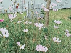 -舍利塔滩地公园-无垢净光舍利塔