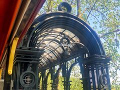 -合肥滨湖国家森林公园