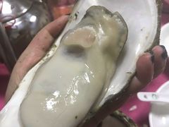 -蠔园山庄(礼乐食街店)