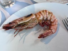 -拉蒂娜·巴西牛排馆 Latina·Brazilian Steakhouse(铜仁旗舰店)