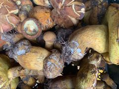 -双喜农庄·菌香园(安居家园店)