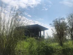 -白鹭湾湿地公园