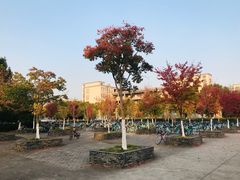 -江南大学(蠡湖校区)