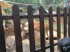 -西安秦岭野生动物园