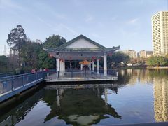 -荔湾湖公园