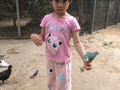 -呀路古热带植物园